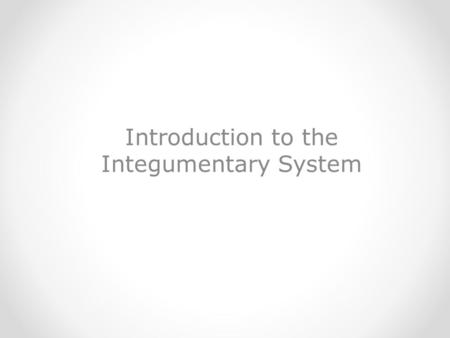 Introduction to the Integumentary System. Integumentary System Structures covering the body’s exterior surface.