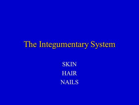 The Integumentary System