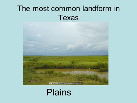 The most common landform in Texas