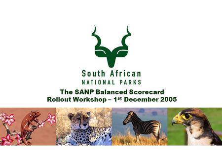 The SANP Balanced Scorecard Rollout Workshop – 1 st December 2005.