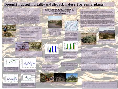 Drought induced mortality and dieback in desert perennial plants LUKE, TL., HOUSMAN, ML., ANDERSON, RA. Western Washington University Biology Department.