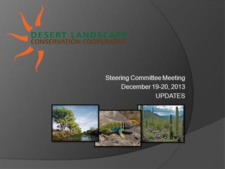 Steering Committee Meeting December 19-20, 2013 UPDATES.