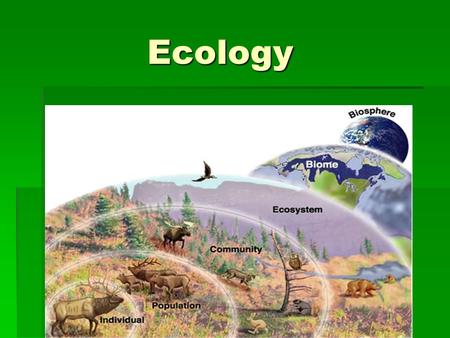 Ecology.