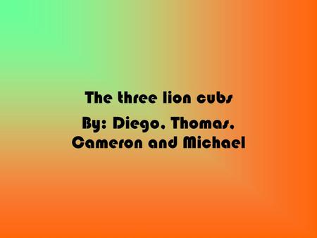 The three lion cubs By: Diego, Thomas, Cameron and Michael.