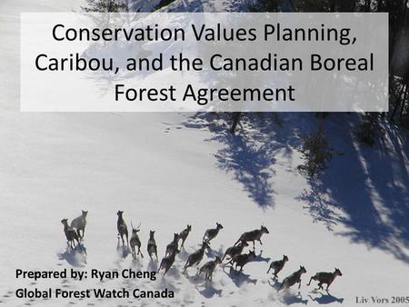 Conservation Values Planning, Caribou, and the Canadian Boreal Forest Agreement Prepared by: Ryan Cheng Global Forest Watch Canada.