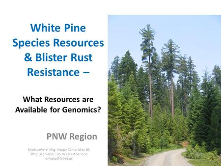 White Pine Species Resources & Blister Rust Resistance – What Resources are Available for Genomics? PNW Region Strobusphere Mtg- Happy Camp, May 10, 2012.