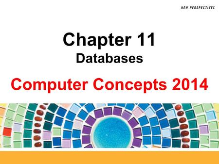 Chapter 11 Databases.