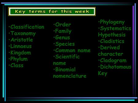 Phylogeny Systematics Hypothesis Cladistics Derived character