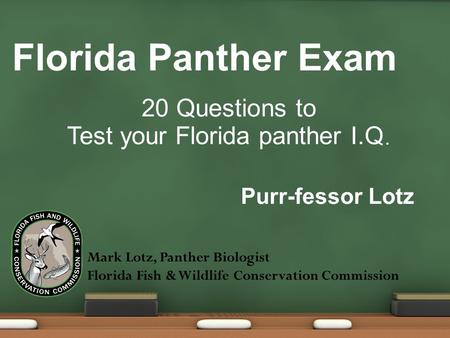 Florida Panther Exam 20 Questions to Test your Florida panther I.Q. Purr-fessor Lotz Mark Lotz, Panther Biologist Florida Fish & Wildlife Conservation.