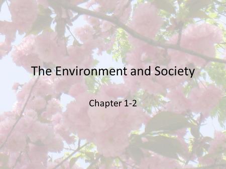 The Environment and Society