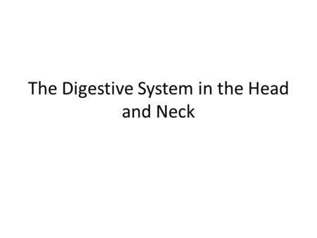 The Digestive System in the Head and Neck