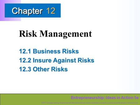 Entrepreneurship: Ideas in Action 5e © 2011 Cengage Learning. All rights reserved. May not be scanned, copied or duplicated, or posted to a publicly accessible.