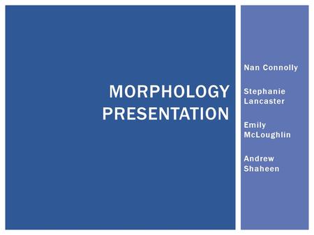 Nan Connolly Stephanie Lancaster Emily McLoughlin Andrew Shaheen MORPHOLOGY PRESENTATION.