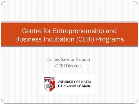 Centre for Entrepreneurship and Business Incubation (CEBI) Programs Dr. Ing. Saviour Zammit CEBI Director.