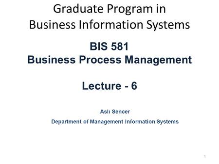 Graduate Program in Business Information Systems