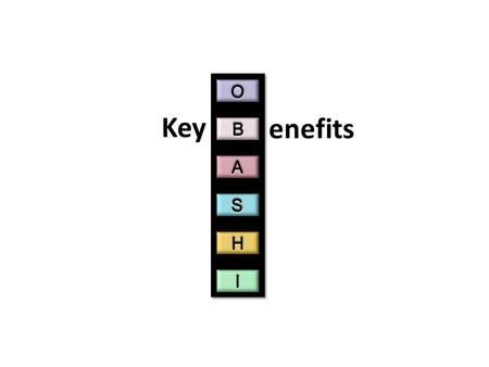 Key enefits. What does OBASHI do? enhances business clarity removes ambiguity from business decision making.