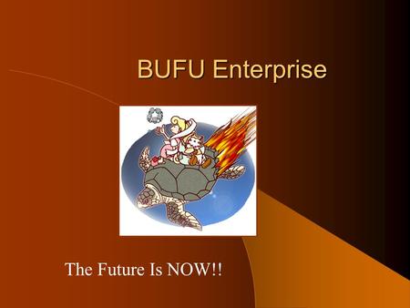 BUFU Enterprise The Future Is NOW!! Company Overview Team – > – Systems Analyst – >– Business Consultant – Chris Vance – Network Analyst – >– Project.