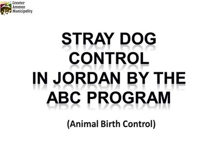 The presence of stray dogs old order where dogs used to live with a man in the search for a suitable environment for subsistence and reproduction. And.