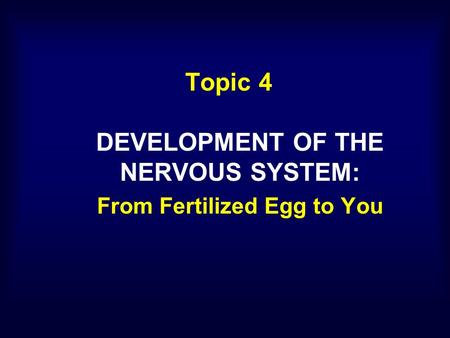 DEVELOPMENT OF THE NERVOUS SYSTEM: From Fertilized Egg to You