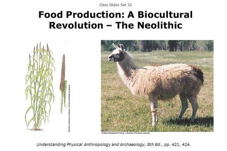 Class Slides Set 32 Food Production: A Biocultural Revolution – The Neolithic Understanding Physical Anthropology and Archaeology, 8th Ed., pp. 421, 424.