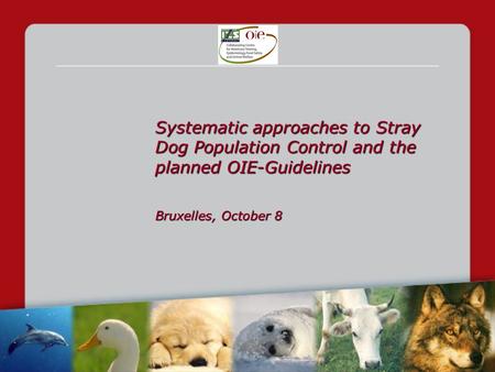 Systematic approaches to Stray Dog Population Control and the planned OIE-Guidelines Bruxelles, October 8.