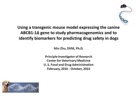 Using a transgenic mouse model expressing the canine ABCB1-1∆ gene to study pharmacogenomics and to identify biomarkers for predicting drug safety in dogs.