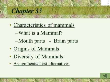 Chapter 35 Characteristics of mammals What is a Mammal?