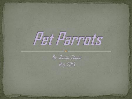 By: Gianni Etopio May 2013.  Very intelligent birds  Eats grains, fruits, vegetables and beans  Grey Parrots pick up words easily and are easy to train.