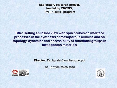 Exploratory research project, funded by CNCSIS, PN II “Ideas” program Title: Getting an inside view with spin probes on interface processes in the synthesis.