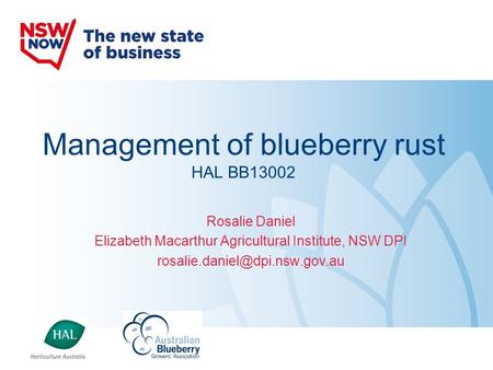 Management of blueberry rust HAL BB13002