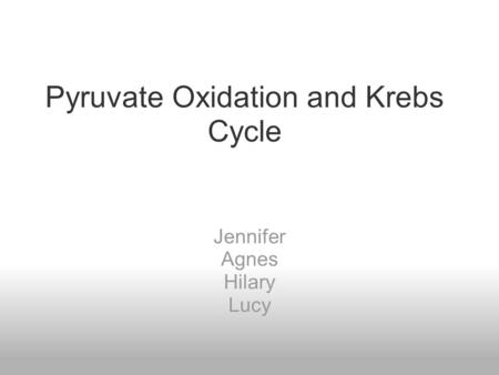 Pyruvate Oxidation and Krebs Cycle