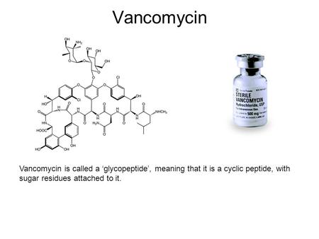 Vancomycin Vancomycin is called a ‘glycopeptide’, meaning that it is a cyclic peptide, with sugar residues attached to it.