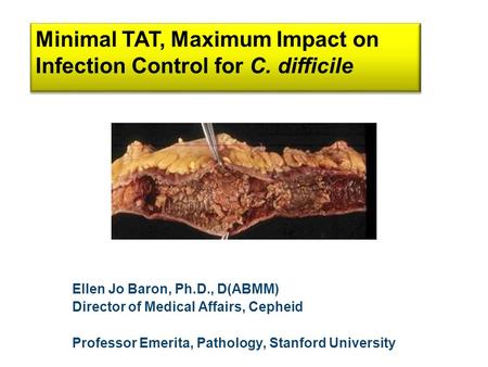 Ellen Jo Baron, Ph.D., D(ABMM) Director of Medical Affairs, Cepheid Professor Emerita, Pathology, Stanford University Minimal TAT, Maximum Impact on Infection.