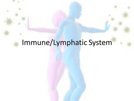 Immune/Lymphatic System