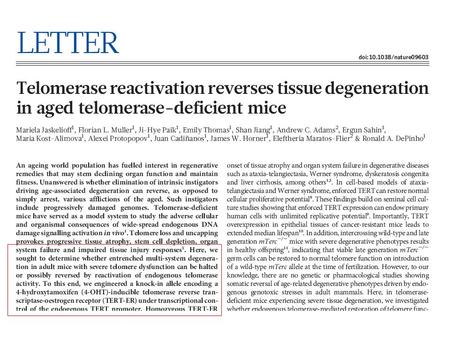 Introduction Telomeres are DNA–protein complexes at the ends of eukaryotic chromosomes that protect them from degradation, recombination and DNA repair.