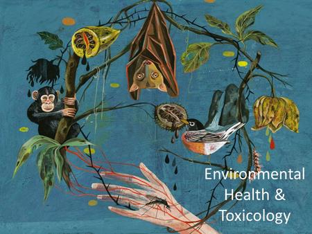 Environmental Health & Toxicology. Health & Disease The common disease of sentient beings is to be diligent and earnest when catastrophe strikes but lax.