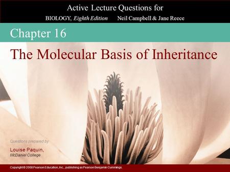 The Molecular Basis of Inheritance