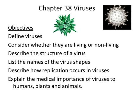 Chapter 38 Viruses Objectives Define viruses Consider whether they are living or non-living Describe the structure of a virus List the names of the virus.