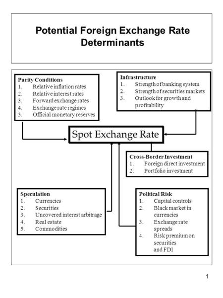 1 Potential Foreign Exchange Rate Determinants Parity Conditions 1.Relative inflation rates 2.Relative interest rates 3.Forward exchange rates 4.Exchange.