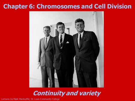 Chapter 6: Chromosomes and Cell Division