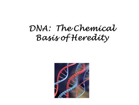 DNA: The Chemical Basis of Heredity