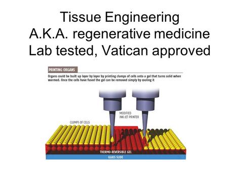 Tissue Engineering A.K.A. regenerative medicine Lab tested, Vatican approved.