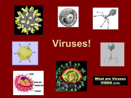 Viruses! What are Viruses VIDEO (3:35 ). It did not take doctors long to find out that the medicines that are usually used to fight bacterial diseases.