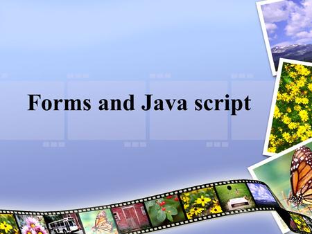 Forms and Java script. Forms The graphical user interface -textbox, radio, button, textarea, checkbox… The processing script –CGI scripts, Perl script,