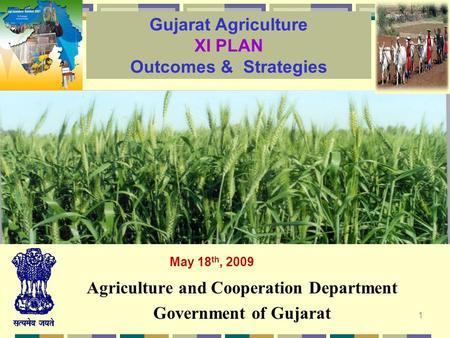 1 Agriculture and Cooperation Department Government of Gujarat Gujarat Agriculture XI PLAN Outcomes & Strategies May 18 th, 2009.