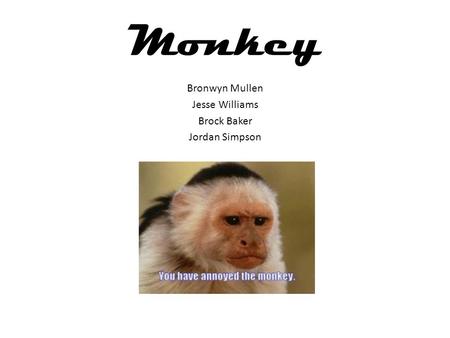 Monkey Bronwyn Mullen Jesse Williams Brock Baker Jordan Simpson.