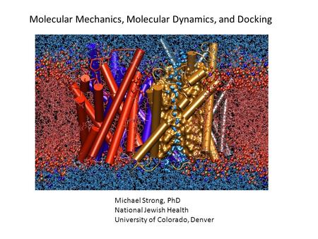 Molecular Mechanics, Molecular Dynamics, and Docking