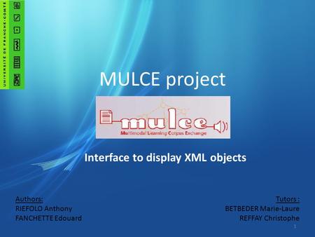 Authors: RIEFOLO Anthony FANCHETTE Edouard Tutors : BETBEDER Marie-Laure REFFAY Christophe MULCE project Interface to display XML objects 1.