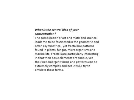 What is the central idea of your concentration? The combination of art and math and science leads me to be fascinated in the geometric and often asymmetrical,