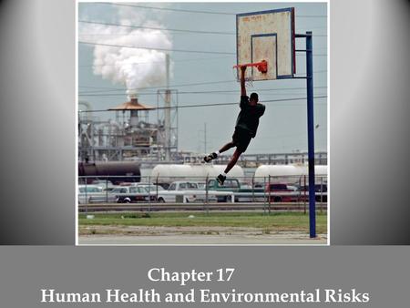 Chapter 17 Human Health and Environmental Risks